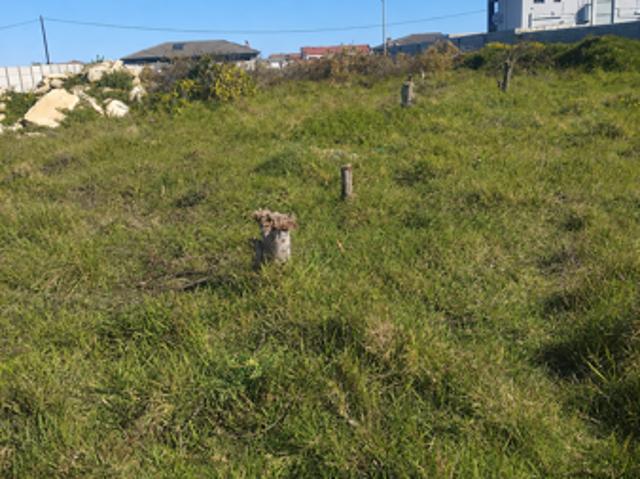 Land for sale in Eastern Cape
