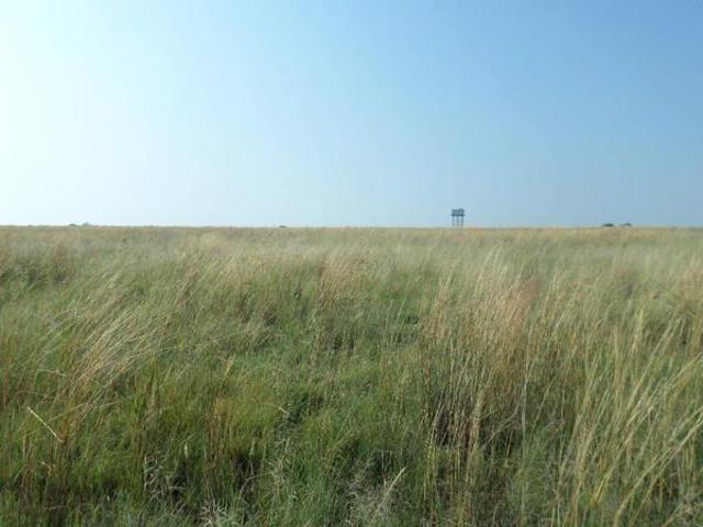 Land for sale in Koppies, Free State
