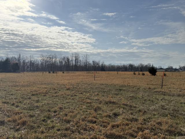 Land for sale in Tennessee