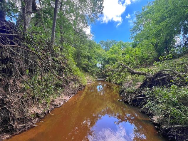 Land for sale in Fairfield, Texas