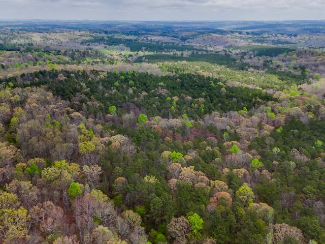 Land for sale in Carrollton, Georgia