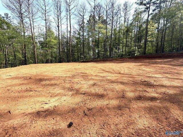 Land for sale in Steele, Alabama