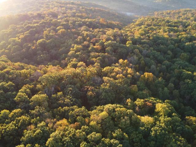 Land for sale in Hanover, Jo Daviess County