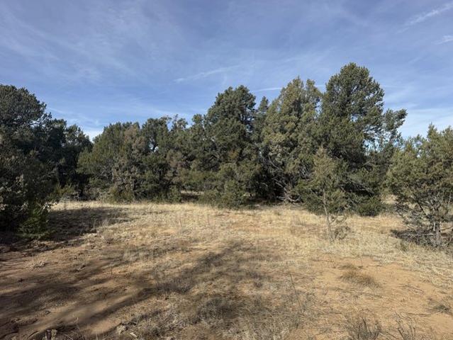 Land for sale in Placitas, New Mexico