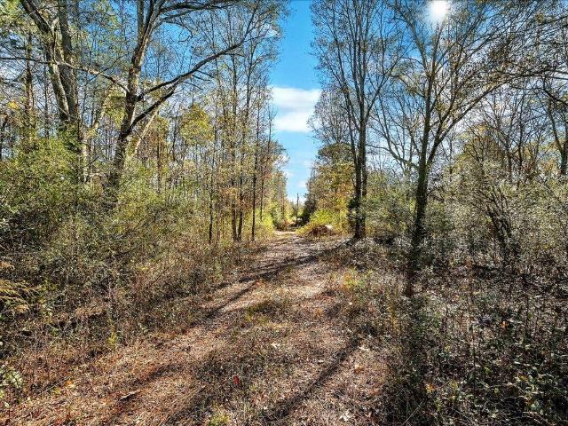 Land for sale in Hanceville, Alabama