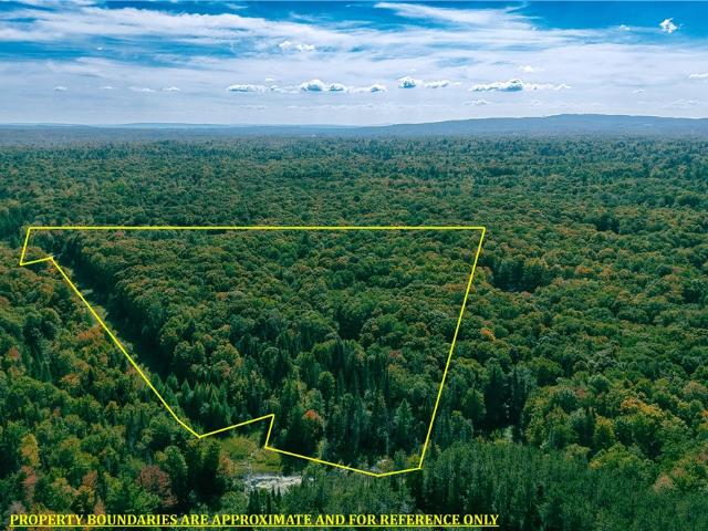 Land for sale in Oneida, New York
