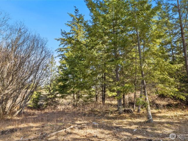 Land for sale in Cle Elum, Washington