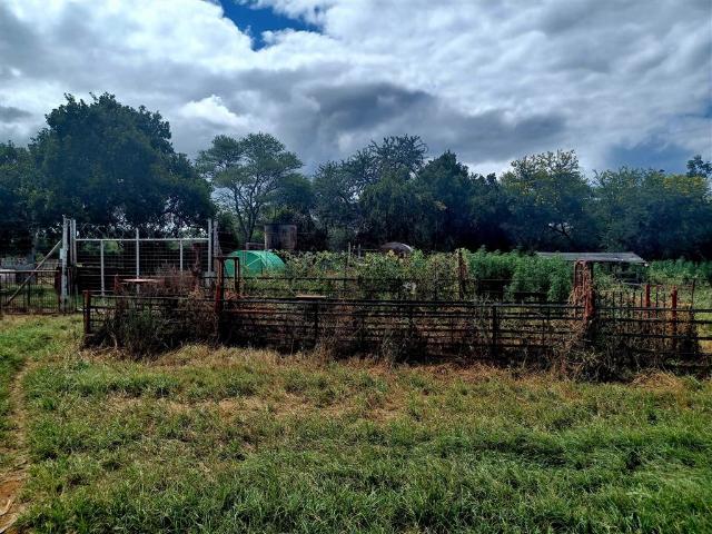 Farm for sale in Naboomspruit, Limpopo