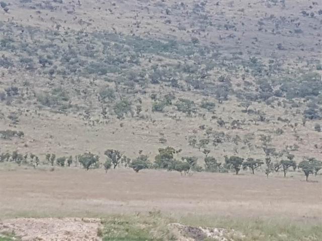 Land for sale in North West