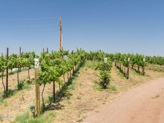 House for sale in Sonoita House for sale in Sonoita