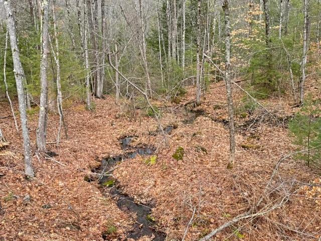 Land for sale in New Hampshire