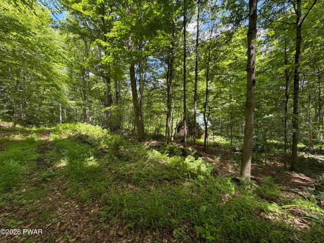 Land for sale in Sweet Valley, Pennsylvania