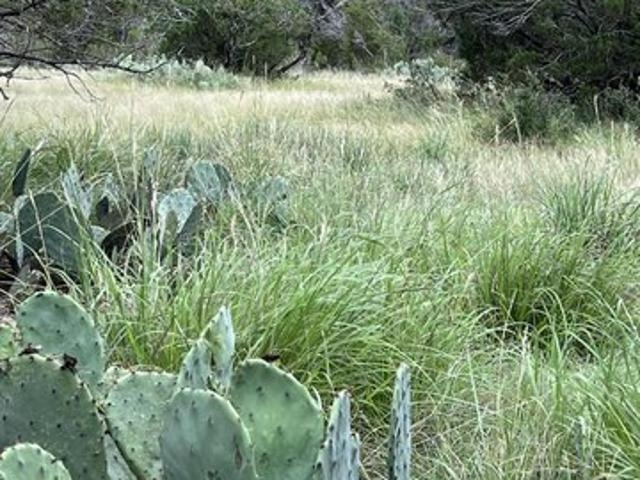 Land for sale in Crockett, Texas