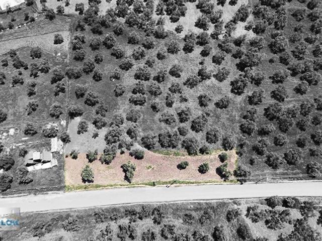 Ayvalik, Balikesir içerisinde satılık mülk