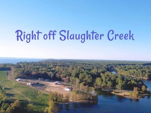 Land for sale in Many, Louisiana
