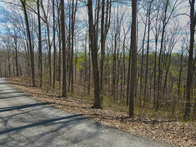 Land for sale in Monticello, Kentucky