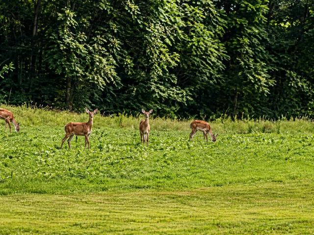 House for sale in Rolling Prairie, Indiana