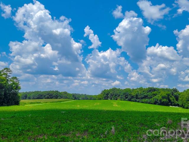 Land for sale in Fairview, North Carolina