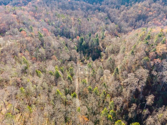 Land for sale in Letcher, Kentucky