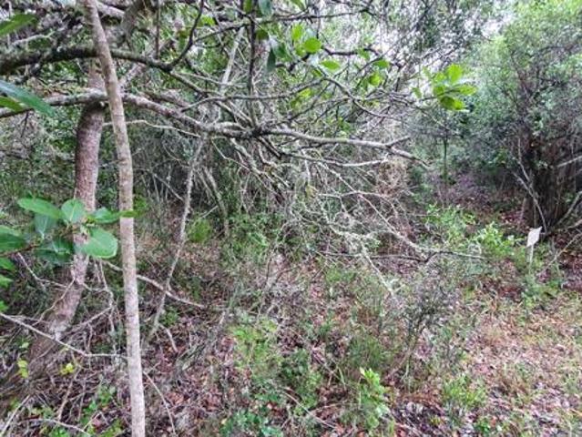 Land for sale in Eastern Cape