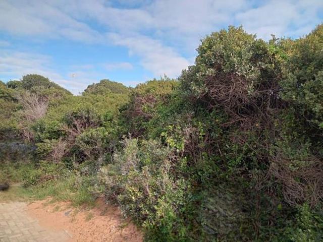 Land for sale in Cape St Francis, Eastern Cape