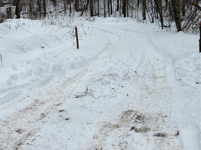 Land for sale in East Branch, New York
