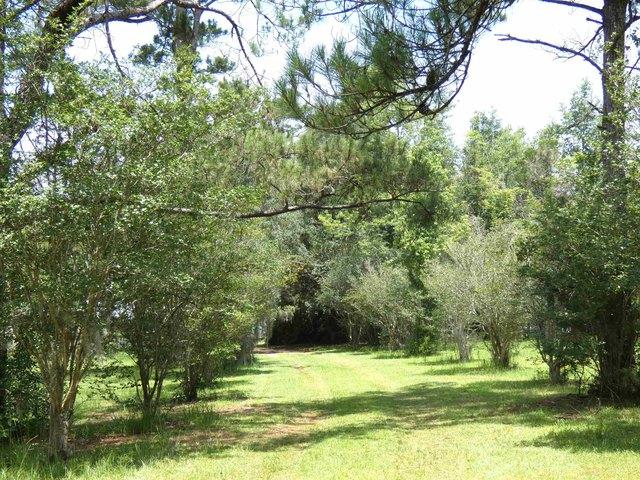 Land for sale in Florida