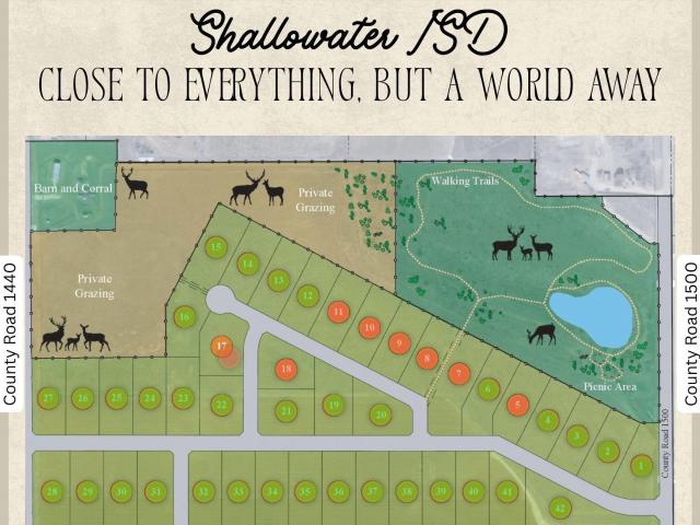 Land for sale in Shallowater, Texas