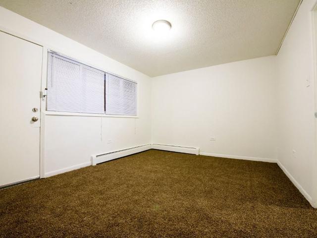 Apartment for rent in Chicago Park, Illinois