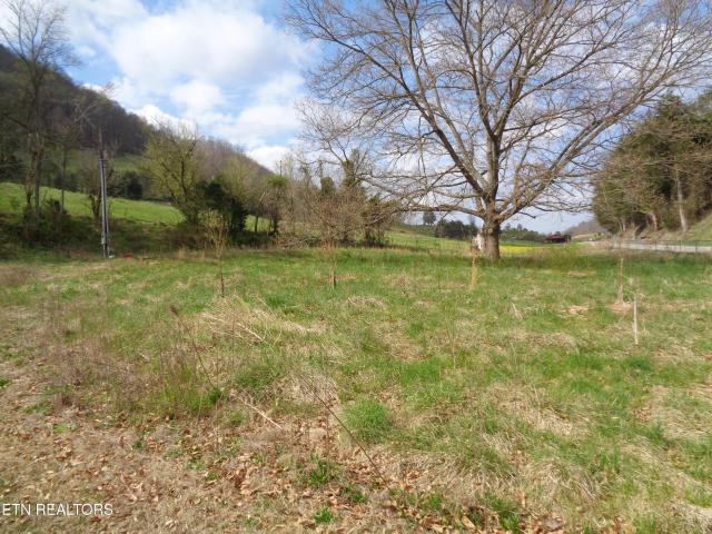 Land for sale in Tennessee