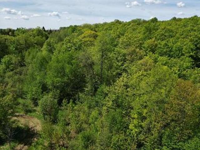Land for sale in Byng Inlet, Ontario