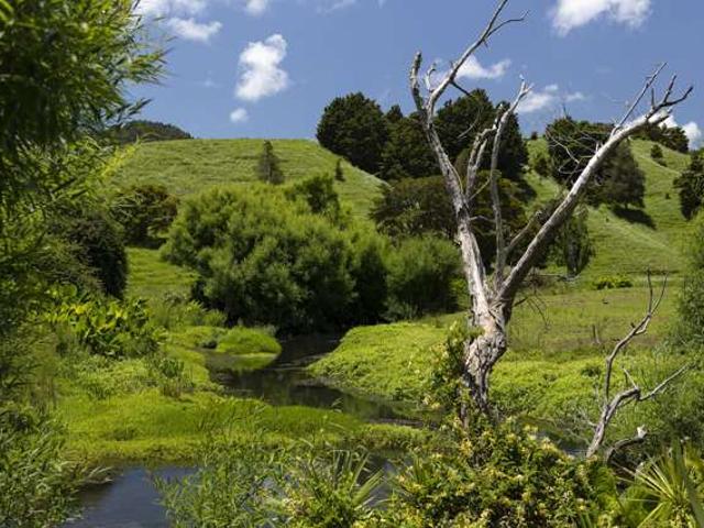 Property for sale in Fairburn, Northland