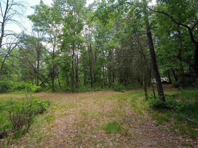 Land for sale in Nekoosa, Wisconsin