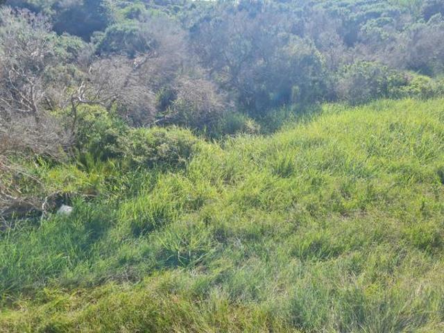 Land for sale in Cape St Francis, Eastern Cape