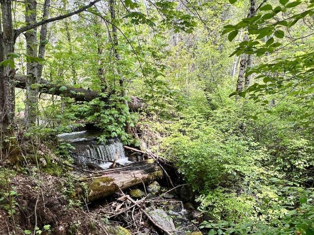 Land for sale in Trinity Center, Trinity County
