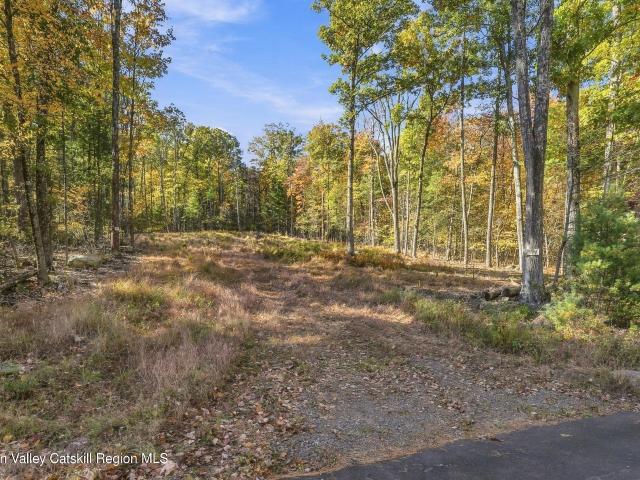 Land for sale in Fantinekill, Ulster County