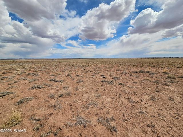 Land for sale in Navajo, Arizona