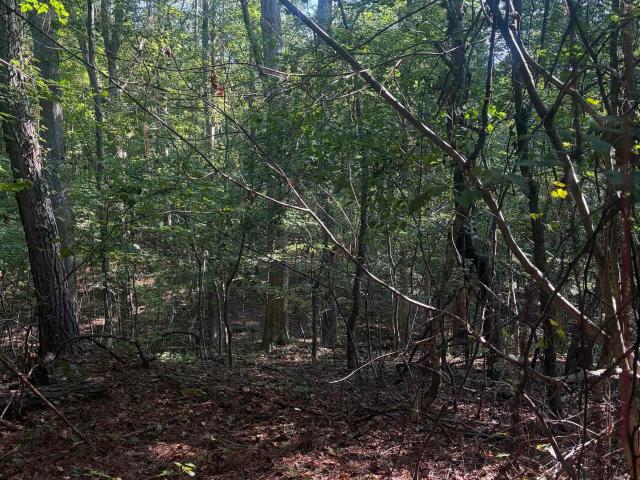Land for sale in Heflin, Cleburne County