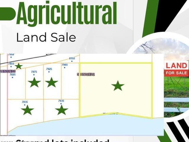 Land for sale in Palmer