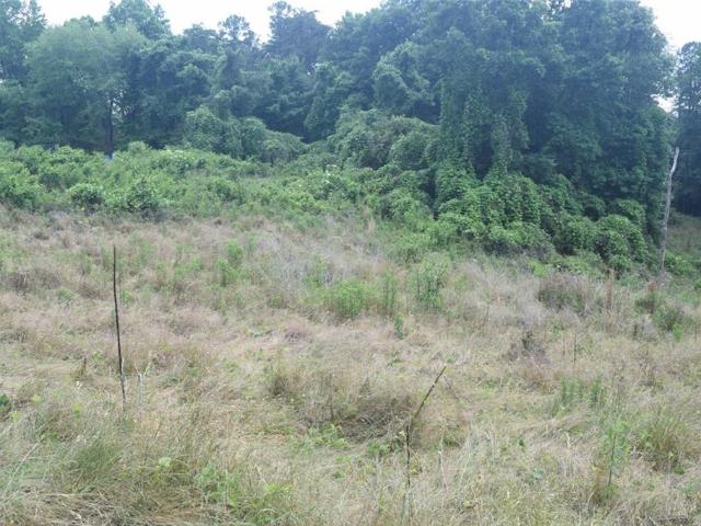 Land for sale in Pickens, Georgia