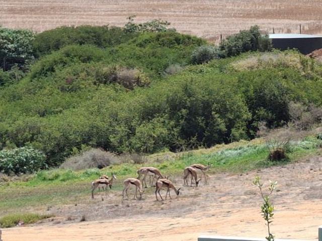 Land for sale in Western Cape