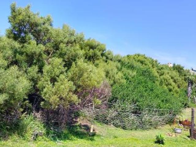 Land for sale in Cape St Francis, Eastern Cape