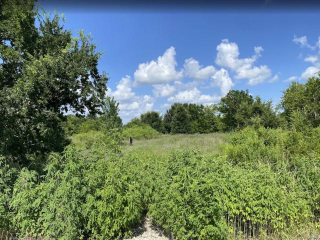Land for sale in Wallis, Texas