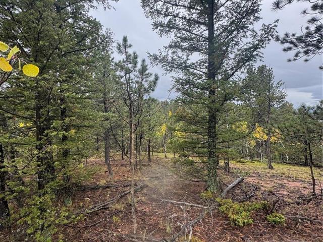 Land for sale in Divide, Teller County