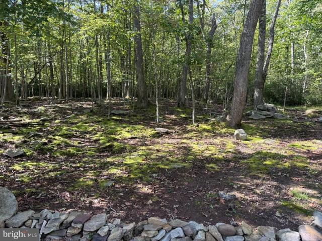 Land for sale in Oakland, Garrett County