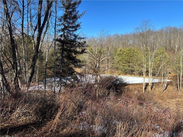 Farm for sale in Elk, Pennsylvania