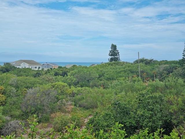 Land for sale in Cape St Francis, Eastern Cape