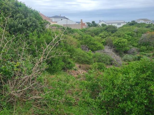 Land for sale in Cape St Francis, Eastern Cape