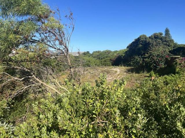 Land for sale in Cape St Francis, Eastern Cape