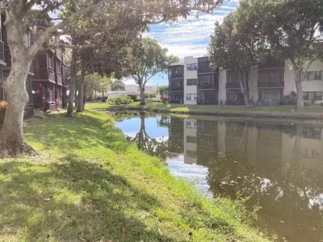 Condo for sale in Saint Petersburg Condo for sale in Saint Petersburg
